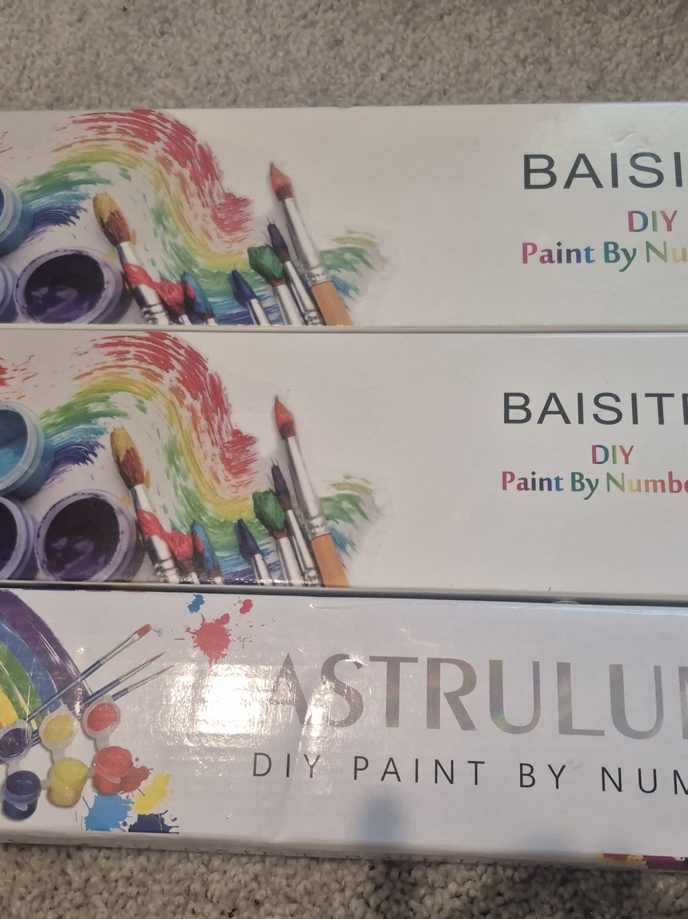 DIY Paint By Numbers Kit - Multicolor